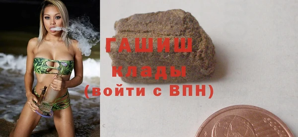 дмт Бородино