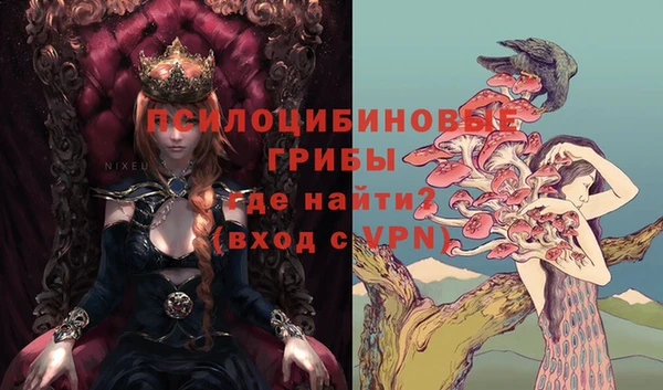 дмт Бородино