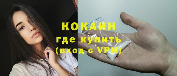 дмт Бородино